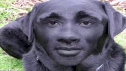 162440560483.jpg