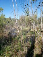 20191009_153238.jpg