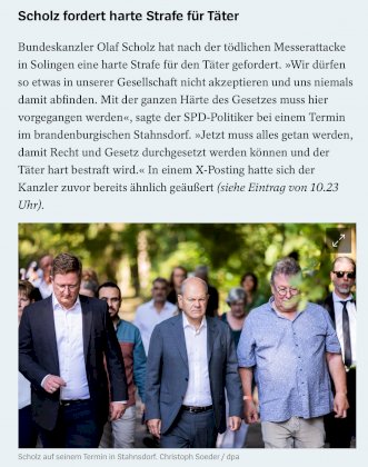20240824-121122-KartonSchnibbler-id6302851.jpg