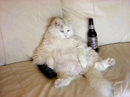 friday.jpg