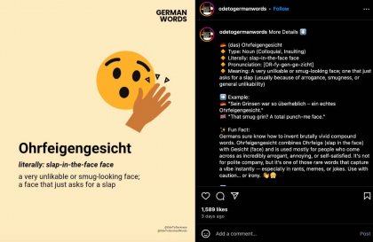 Ohrfeigengesicht2C-22slap-in-the-face-face.22-Scree.jpg