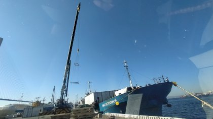 IMG_20201114_113518.jpg