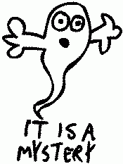 it is a mystery.gif