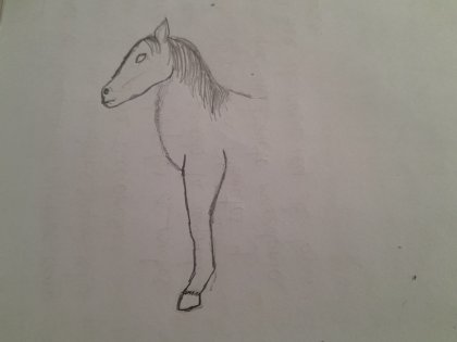 20250314_151224.jpg