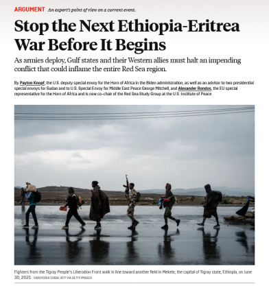 Screenshot 2025-03-13 at 13-00-23 Ethiopia-Eritrea-Tigray War UAE Saudis AU and the West Must Stop Conflict Before It Starts.png