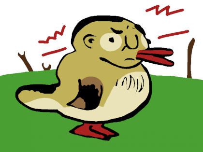 ducks-small.png