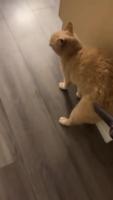 an7qmQE_460svav1.mp4