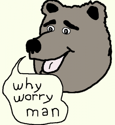 why worry bear.png