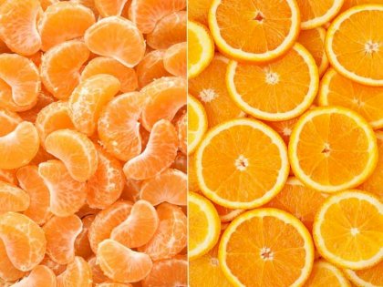 difference-between-tangerines-oranges-thumb-732x549.jpg