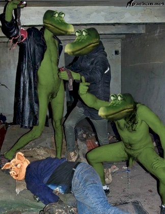 7k5hm55k1h4l.jpg