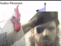 pärssinenmp.mp4