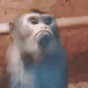 tenor (16).gif