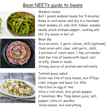 beanguide 5.png