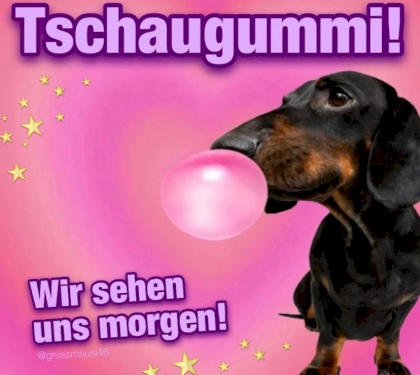 tschaugummi.png