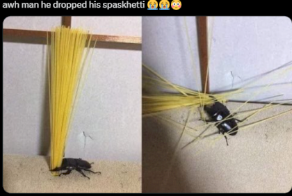 dropped spaghetti.png