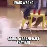 Brazil Venecia.webm