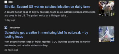Screenshot 2024-05-25 at 15-45-55 bird flu - Google Search.png