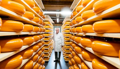 73611_fullimage_cheese valley.webp