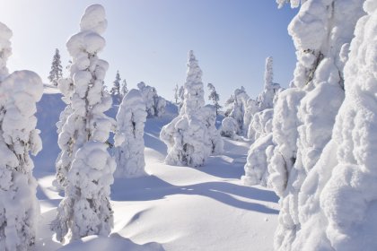 Snowy_in_Finland_Lapin_Materiaalipankki[1].jpg