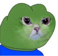 opinion_cat_pepe_mask.png