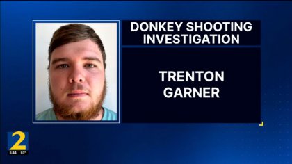 donkey murderer.jpg