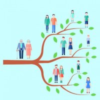 Family-tree-696x696.jpg