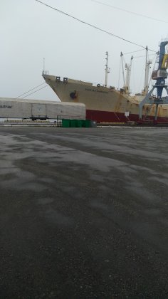IMG_20190603_100335.jpg