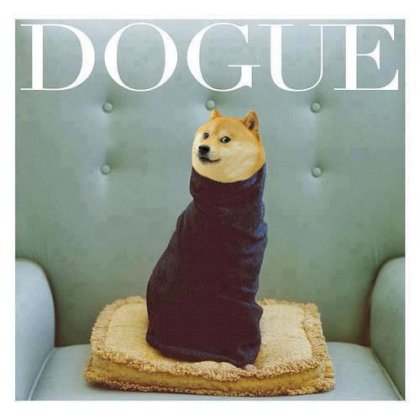 dogue.jpg