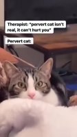 perverkot.webm