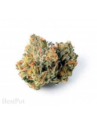 BestPot_RingosGiftCBD_Single-406x516.jpg
