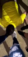 bernd2.mp4