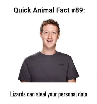 img.jpg
