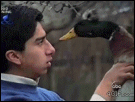 Ente beißt.gif