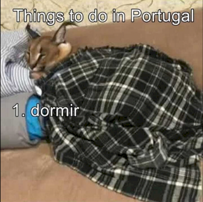 1635804844885.png