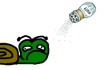 schnecke traurig wird mit salz bestreut2.png