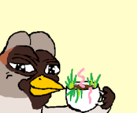 E8D804D2-0592-4D8C-9B15-1FE92D03C84D.png
