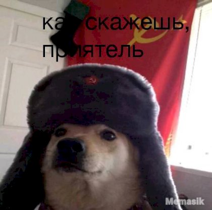 2023_11_02_23_06_29.jpeg