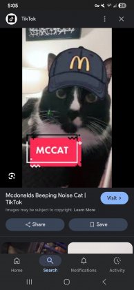 Screenshot_20250817_050514_Google.jpg