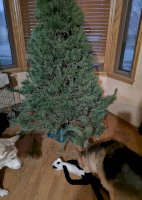 IMG_20201127_165738.jpg