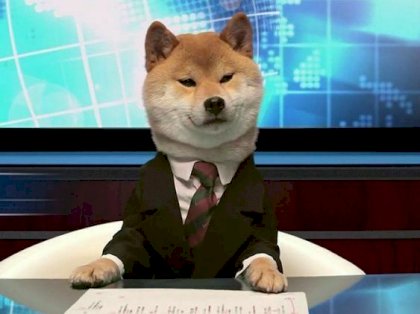 dog.jpg