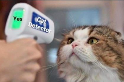 kot detector.jpeg