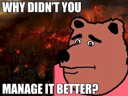 images.jpg