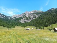IMG_20200710_124517_4.jpg