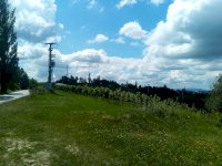 IMG_20200719_115435_8.jpg