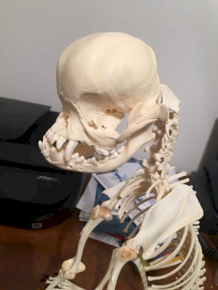 ExBIQNWWUAUjJ2r.jpeg