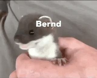 3FD1ADE3-7484-45AF-86CD-0879CD7F56CE.gif
