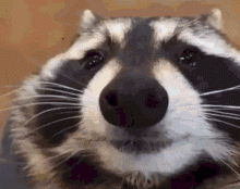 1641457941071.gif