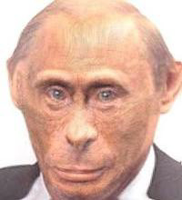 Ape